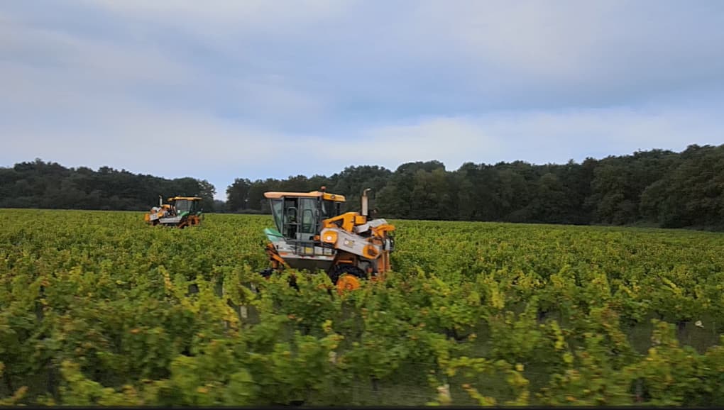 Vue panoramique du Vignoble Durand en été
