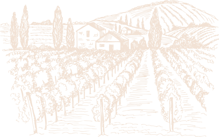 Sketch of the Vignoble Durand estate in Saint Lumine de Clisson